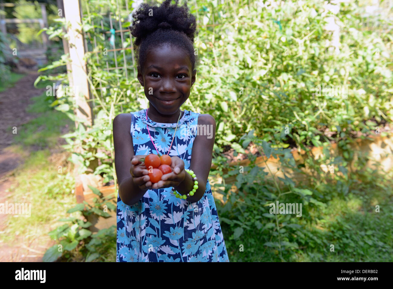 Black girl, 7, dalla New Haven mostra di pomodori ciliegia che ha prelevato in un terreno comune di alta scuola del giardino biologico Foto Stock