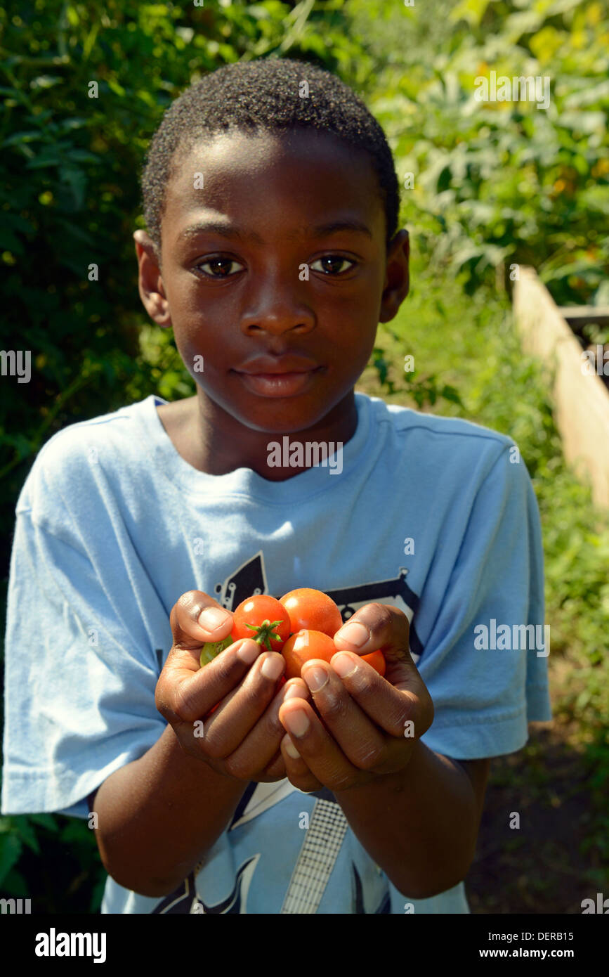 New Haven, Black boy, 10, mostra di pomodori ciliegia che ha prelevato in un terreno comune di alta scuola, un punto di vista ambientale di alta scuola. Foto Stock