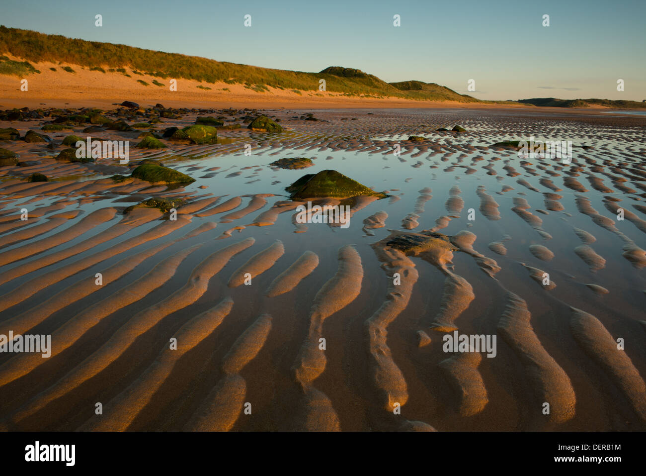 Le dune di sabbia a sunrise di Embleton Bay, Northumberland, Regno Unito Foto Stock
