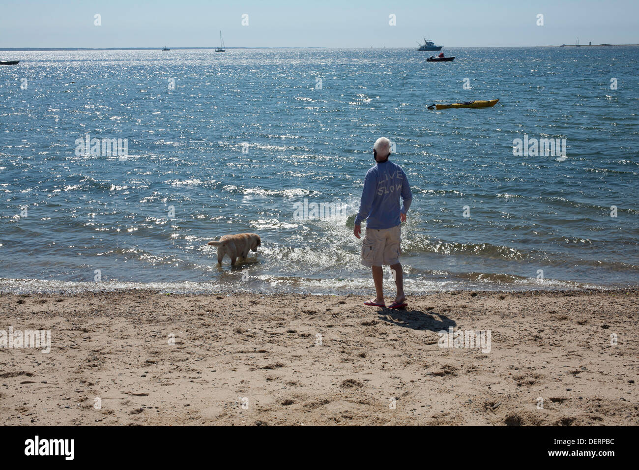 Un uomo anziano guarda fuori al a Provincetown bay mentre il suo cane gioca nell'acqua lungo la spiaggia. Foto Stock