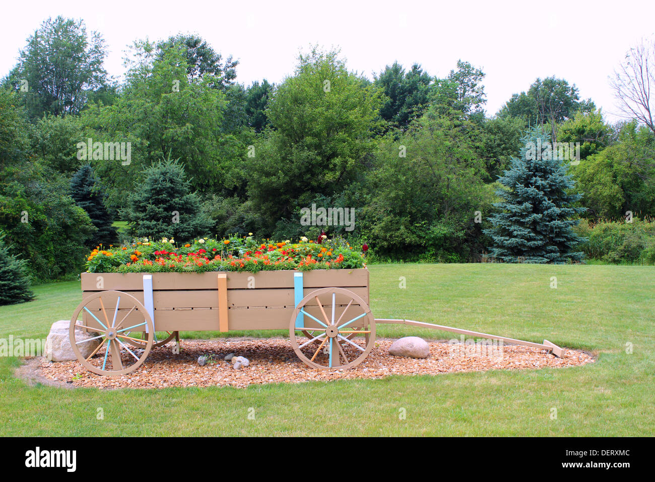Un carro riempito di fiori fa una bella aggiunta a un'area giardino delimitato da alberi sempreverdi. Foto Stock