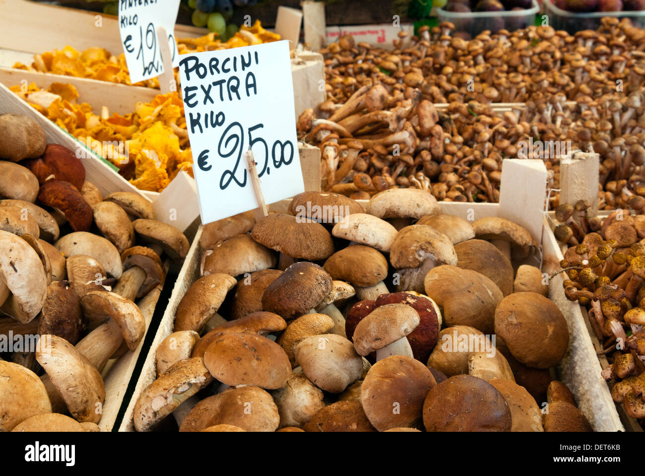 Il CEPS, funghi, frutta mercato al Ponte di Rialto, Venezia, Veneto, Italia, Europa Foto Stock