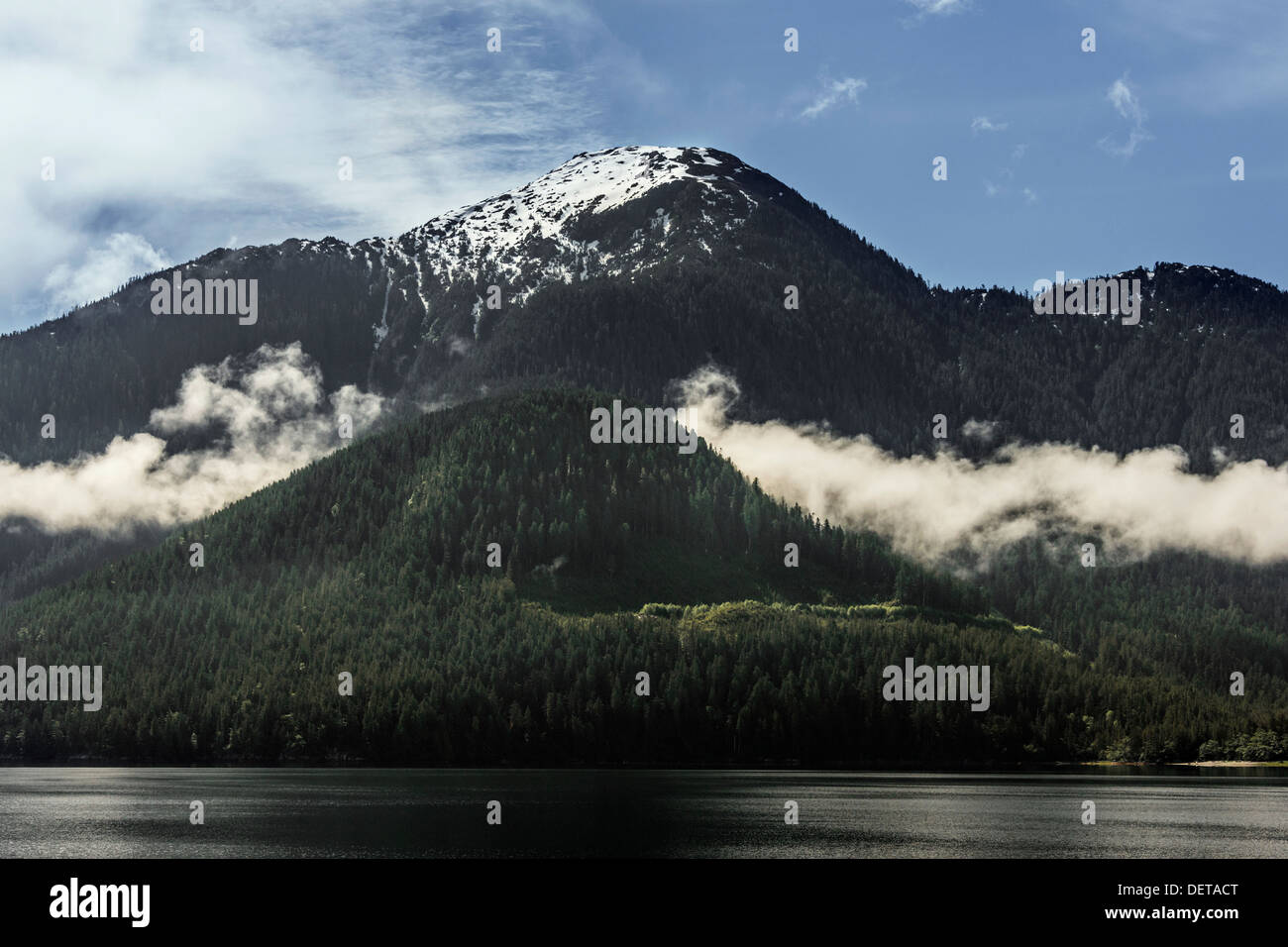 Elevato campo di neve e nebbia di mattina, ingresso di cozze, mid-coast British Columbia Foto Stock