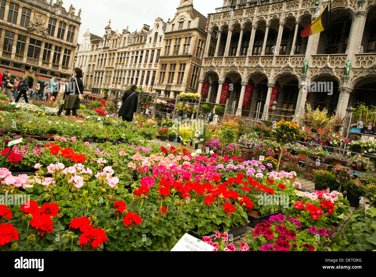 Il mercato dei fiori nella Grand Place di Bruxelles Foto stock - Alamy