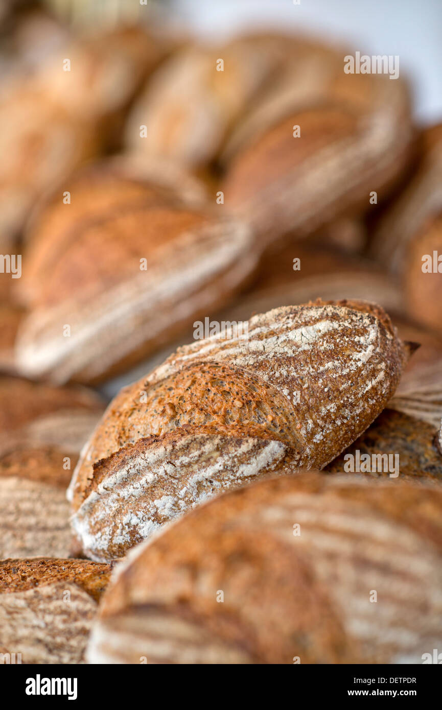 Selezione di pane fresco da un artigiano panificio REGNO UNITO Foto Stock