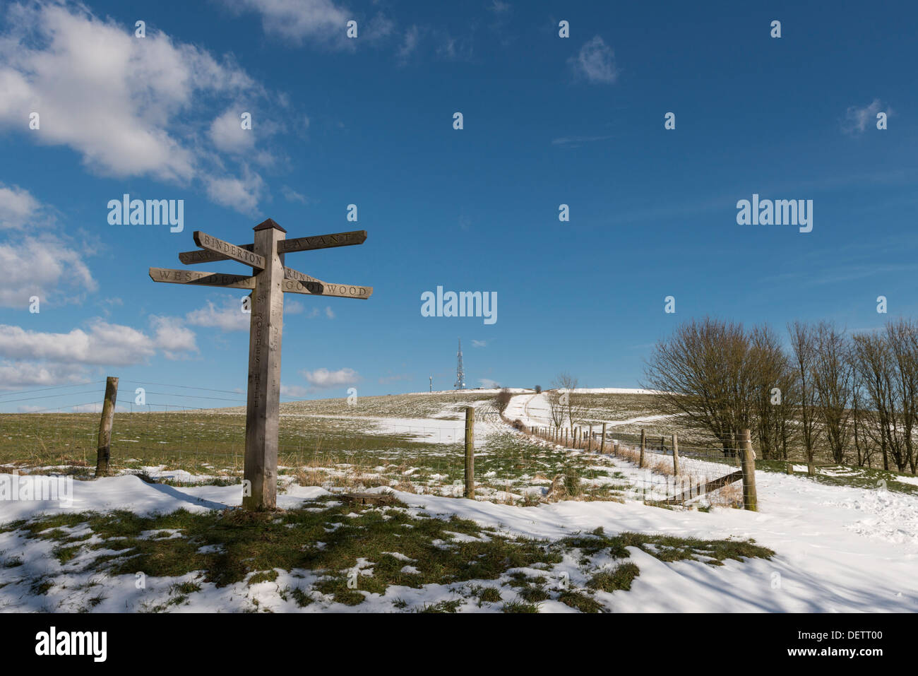 Vista verso il Trundle in sette punti, West Sussex, Regno Unito Foto Stock