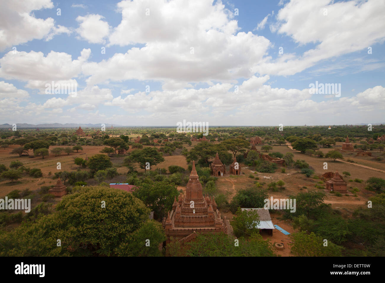 Una vista di templi della pianura centrale di Bagan. Foto Stock