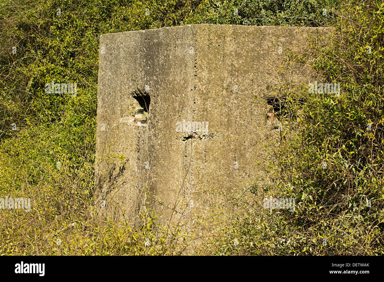 Vecchio rudere di un alleato per la guerra mondiale due bunker in Regno Unito chiamato comunemente una scatola di pillole Foto Stock