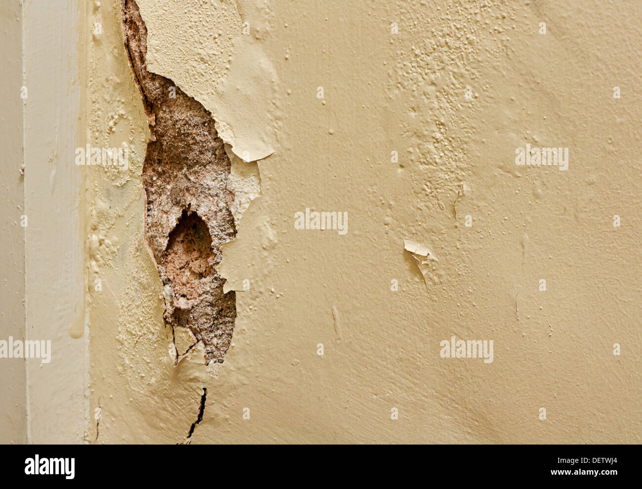 Danneggiato la parete in gesso in bisogno di un rinnovo da pittori e decoratori all'interno di una casa residenziale Foto Stock