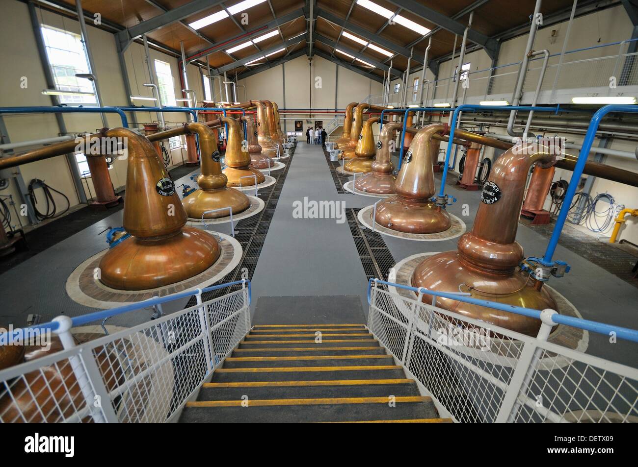 Alambicchi, Glenfiddich Distillery, Dufftown, murene, Scozia, Regno Unito, Europa Foto Stock