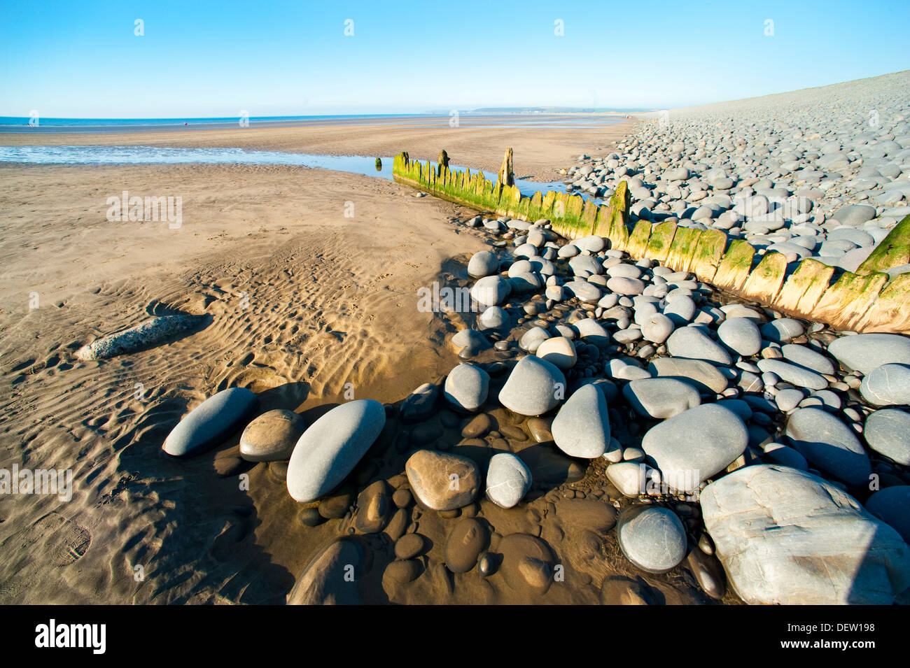 Marciume frangiflutti sulla spiaggia di Condino, Devon, Inghilterra, Regno Unito Foto Stock