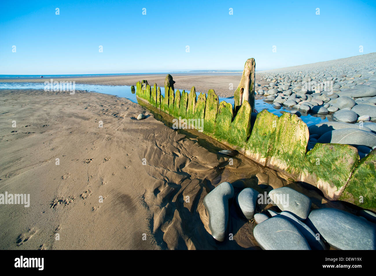 Marciume frangiflutti sulla spiaggia di Condino, Devon, Inghilterra, Regno Unito Foto Stock