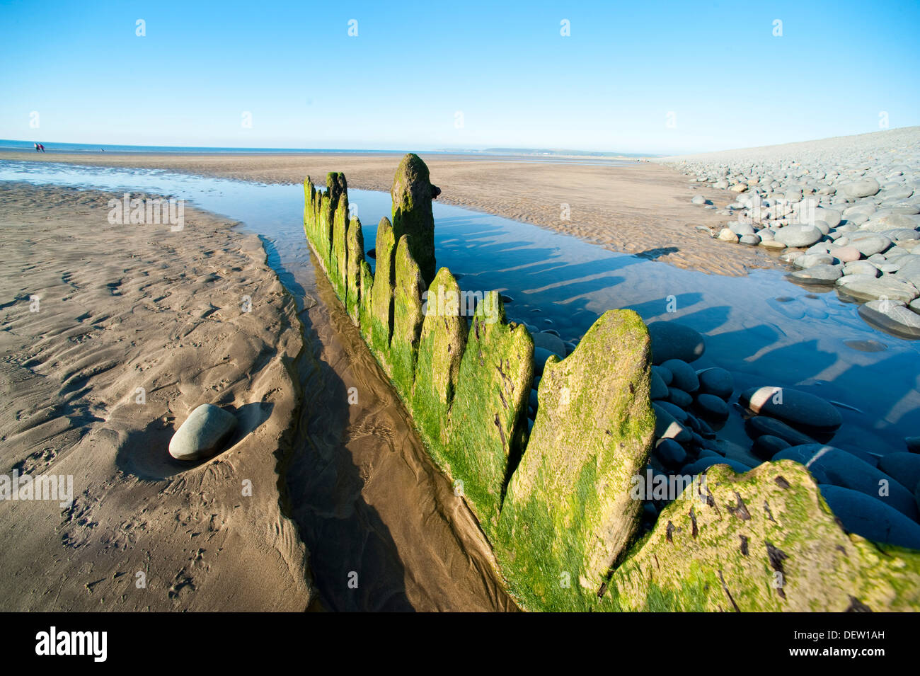 Marciume frangiflutti sulla spiaggia di Condino, Devon, Inghilterra, Regno Unito Foto Stock