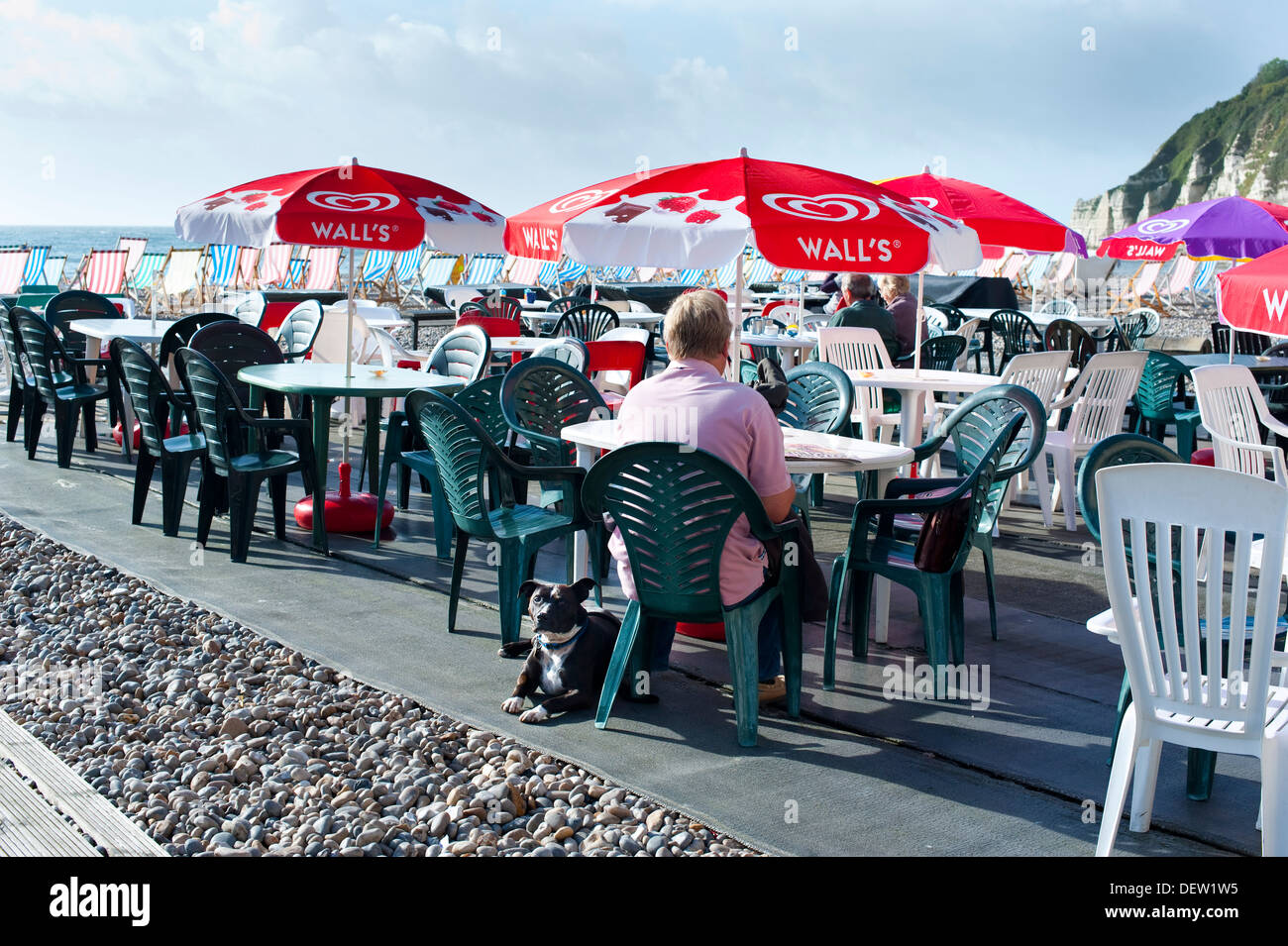 Uomo e cane seduti in un caffè sulla spiaggia, birra, Devon, Inghilterra, Regno Unito Foto Stock
