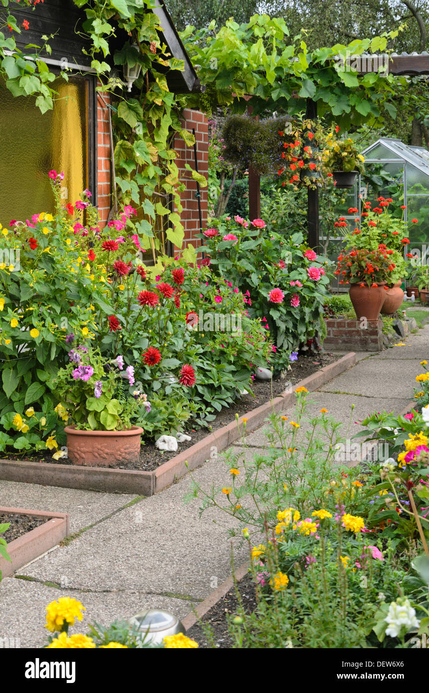 La meraviglia del Perù (Mirabilis Jalapa) e dalie (dahlia) in un riparto garden Foto Stock