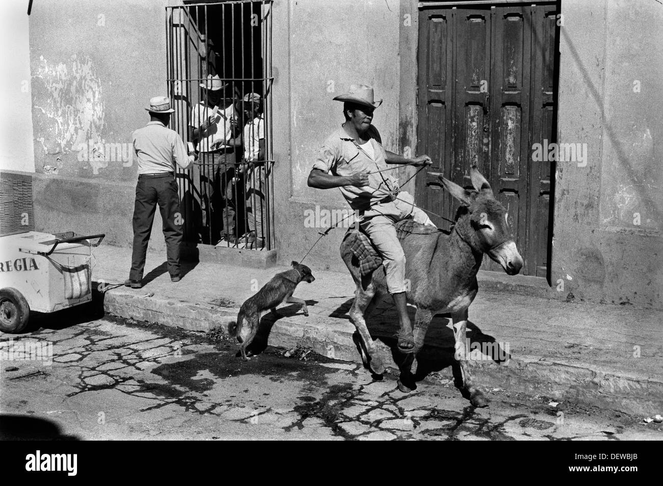 Asino Messico anni '70, asino e uomo runaway che vende gelati. San Cristóbal de las Casas Stato messicano del Chiapas.1973 OMERO SYKES Foto Stock
