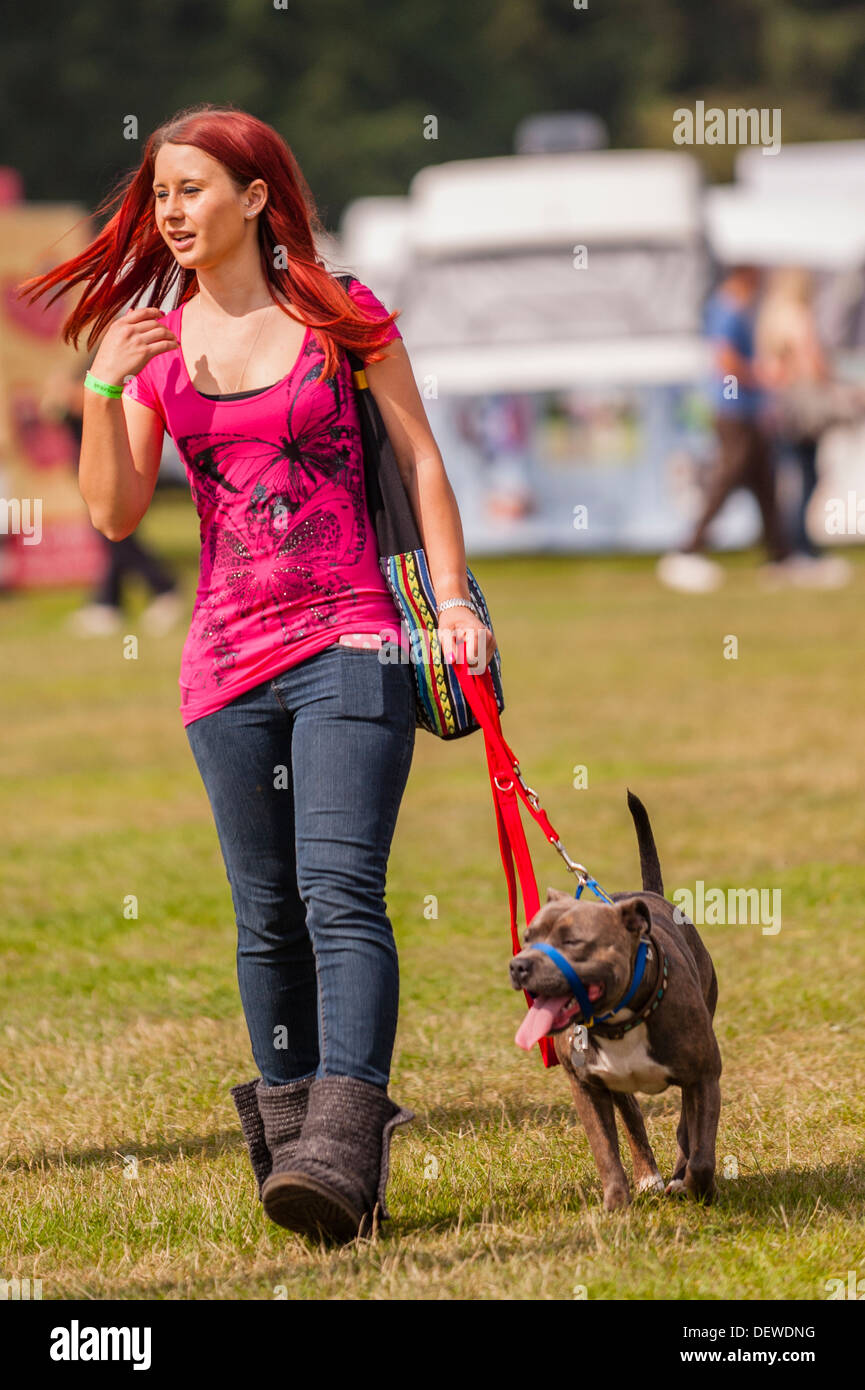 Una ragazza con il suo cane al Tutto su cani mostrano al Norfolk Showground, Norwich, Norfolk, Inghilterra, Regno Unito Foto Stock