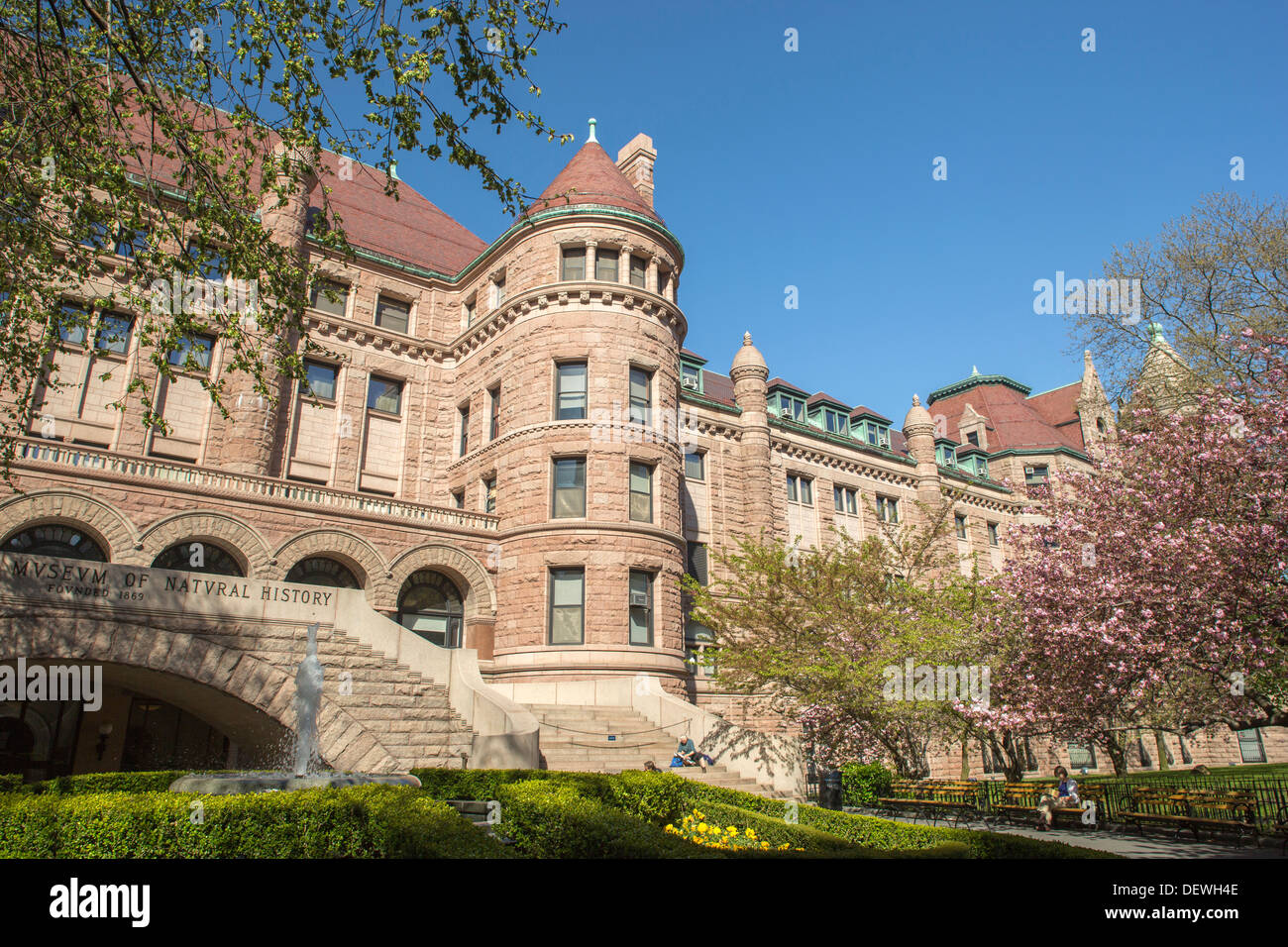 Il Museo Americano di Storia Naturale Upper Westside MANHATTAN NEW YORK CITY USA Foto Stock