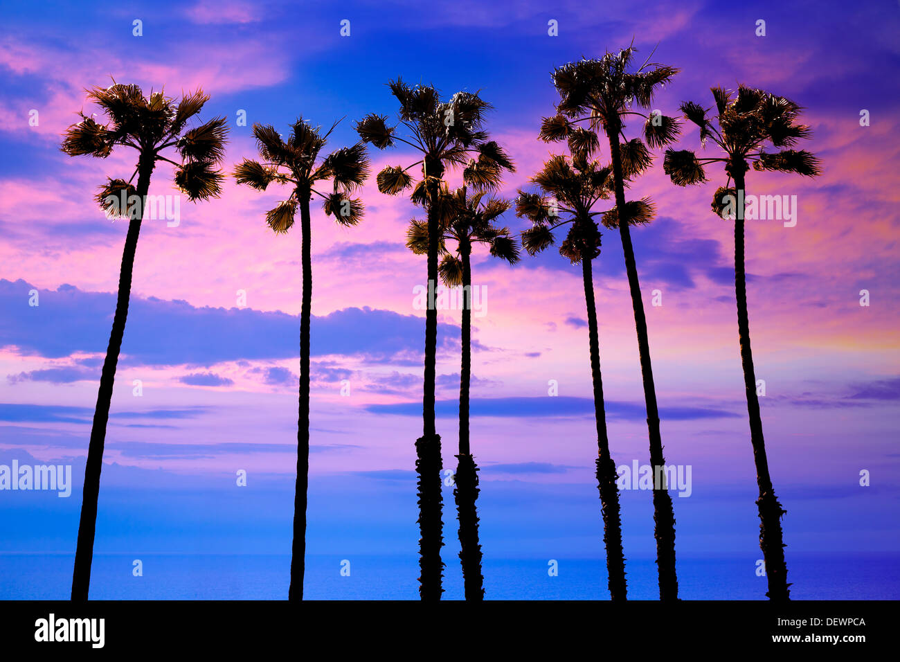 California palme gruppo tramonto con cielo colorato Foto Stock