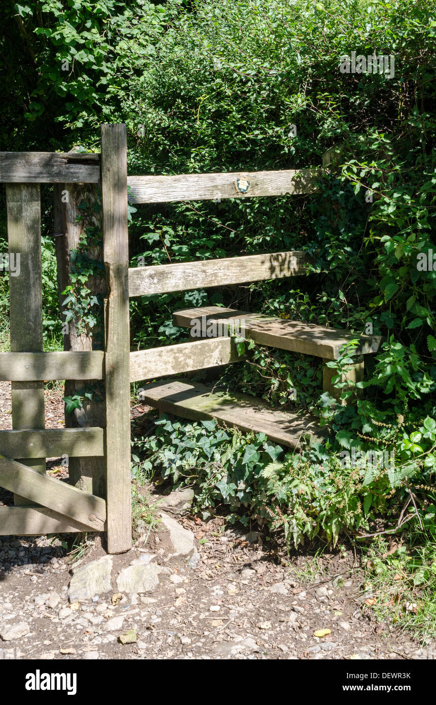 Un stile di legno su un sentiero nel Parco Nazionale di Dartmoor Foto Stock