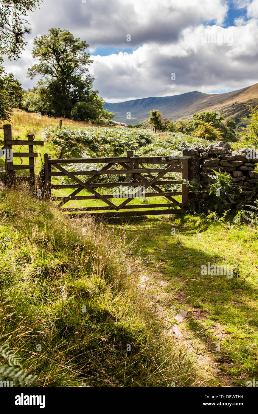 A cinque bar cancello di legno attraverso un sentiero pubblico nel Cwm Oergwm nel Parco Nazionale di Brecon Beacons. Foto Stock