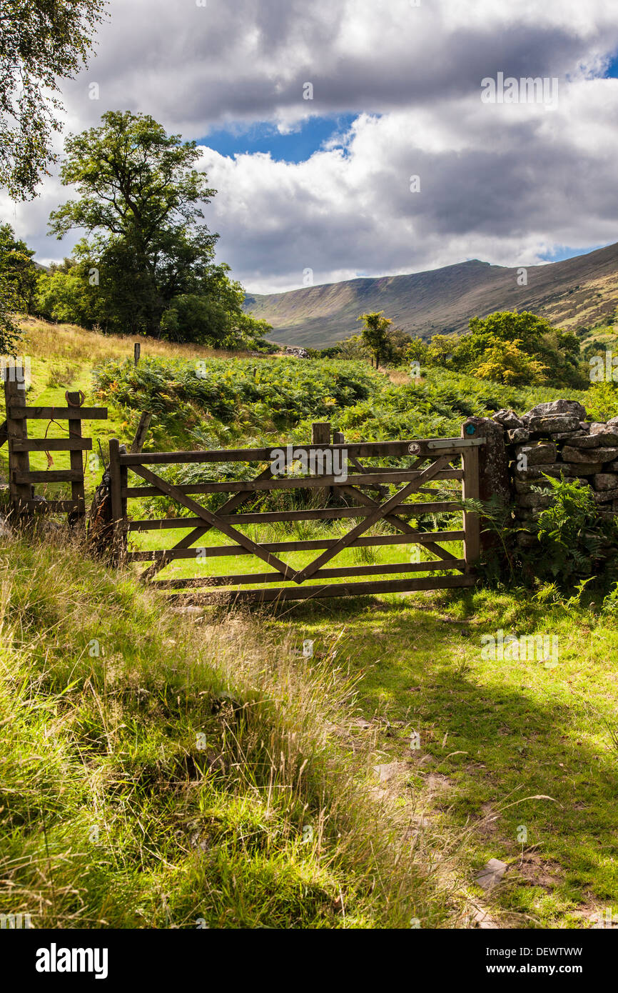 A cinque bar cancello di legno attraverso un sentiero pubblico nel Cwm Oergwm nel Parco Nazionale di Brecon Beacons. Foto Stock