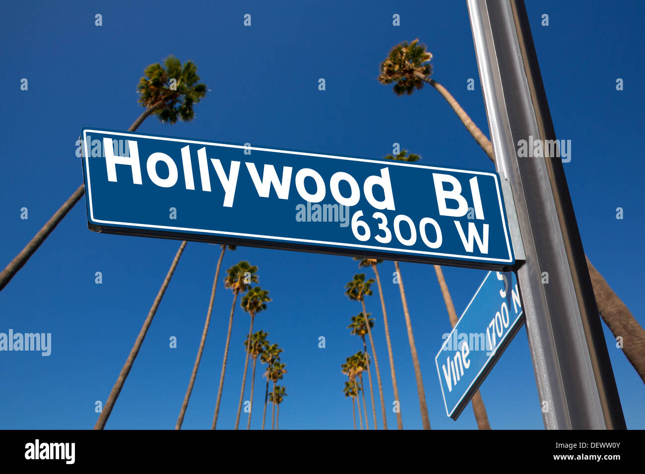 Hollywood Boulevard con la vigna segno illustrazione sulle palme sullo sfondo Foto Stock