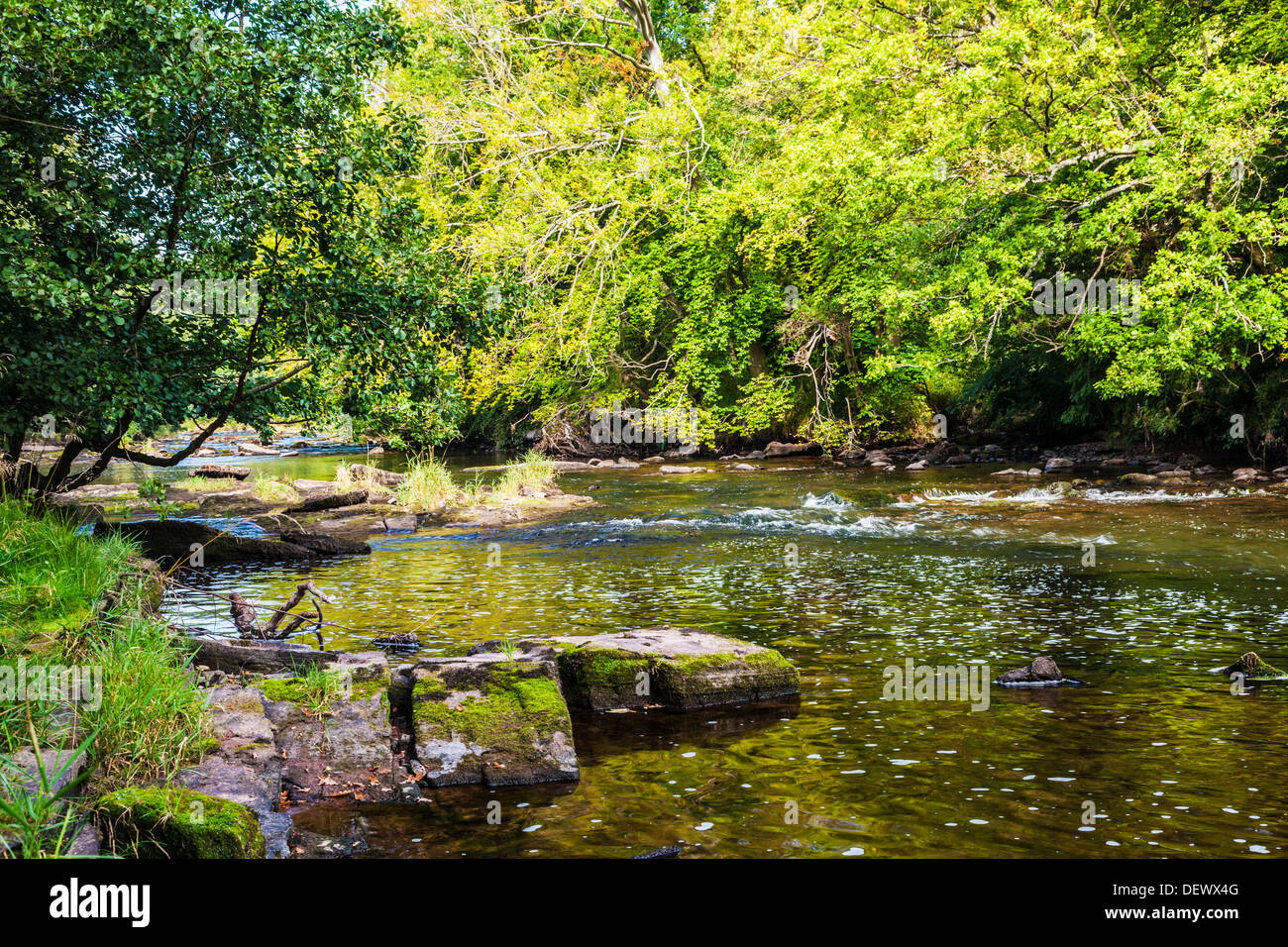 Il Fiume Usk vicino Llangynidr nel Parco Nazionale di Brecon Beacons, Galles. Foto Stock