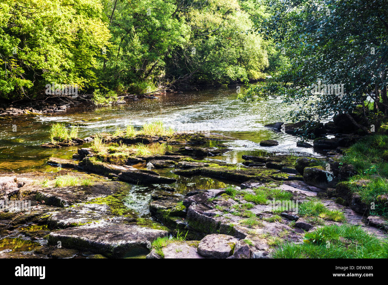 Il Fiume Usk vicino Llangynidr nel Parco Nazionale di Brecon Beacons, Galles. Foto Stock