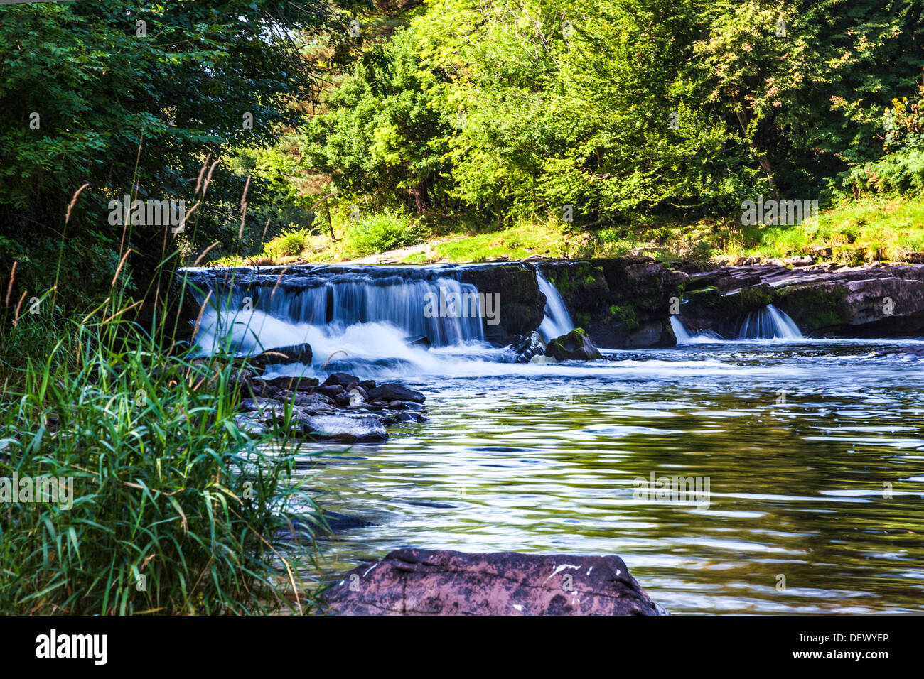 Il Fiume Usk vicino Llangynidr nel Parco Nazionale di Brecon Beacons, Galles. Foto Stock