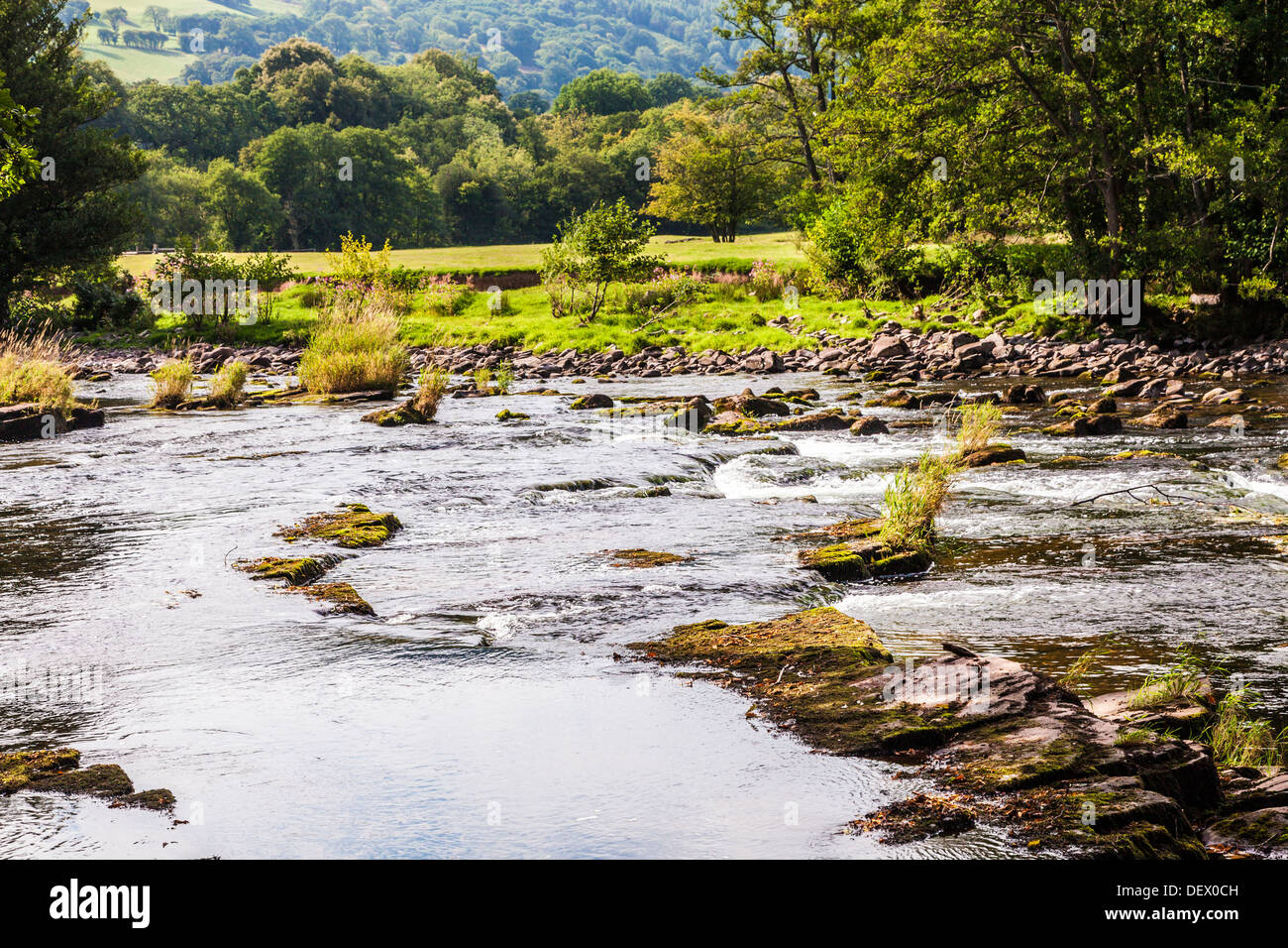 Il Fiume Usk vicino Llangynidr nel Parco Nazionale di Brecon Beacons, Galles. Foto Stock