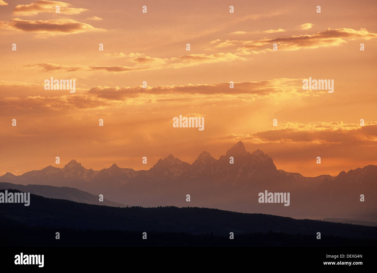 Elk266-1013, Wyoming Grand Teton National Park, Teton Range da est Foto Stock