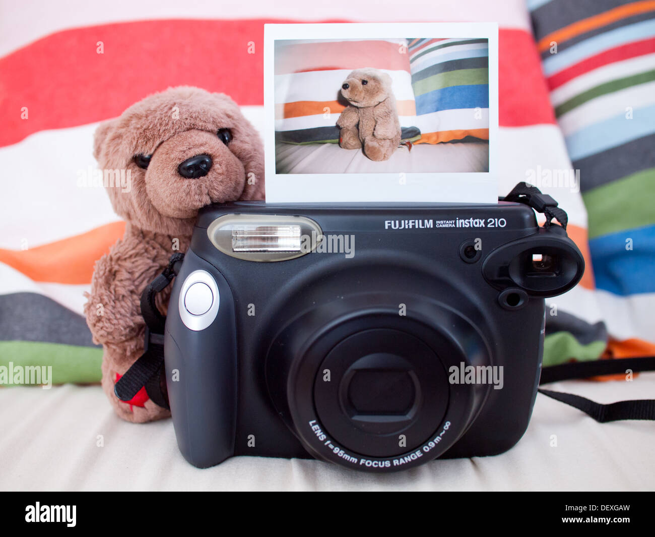 Un fantastico orso bruno prende una foto istantanea con un Fujifilm Instax 210 instant fotocamera. Foto Stock