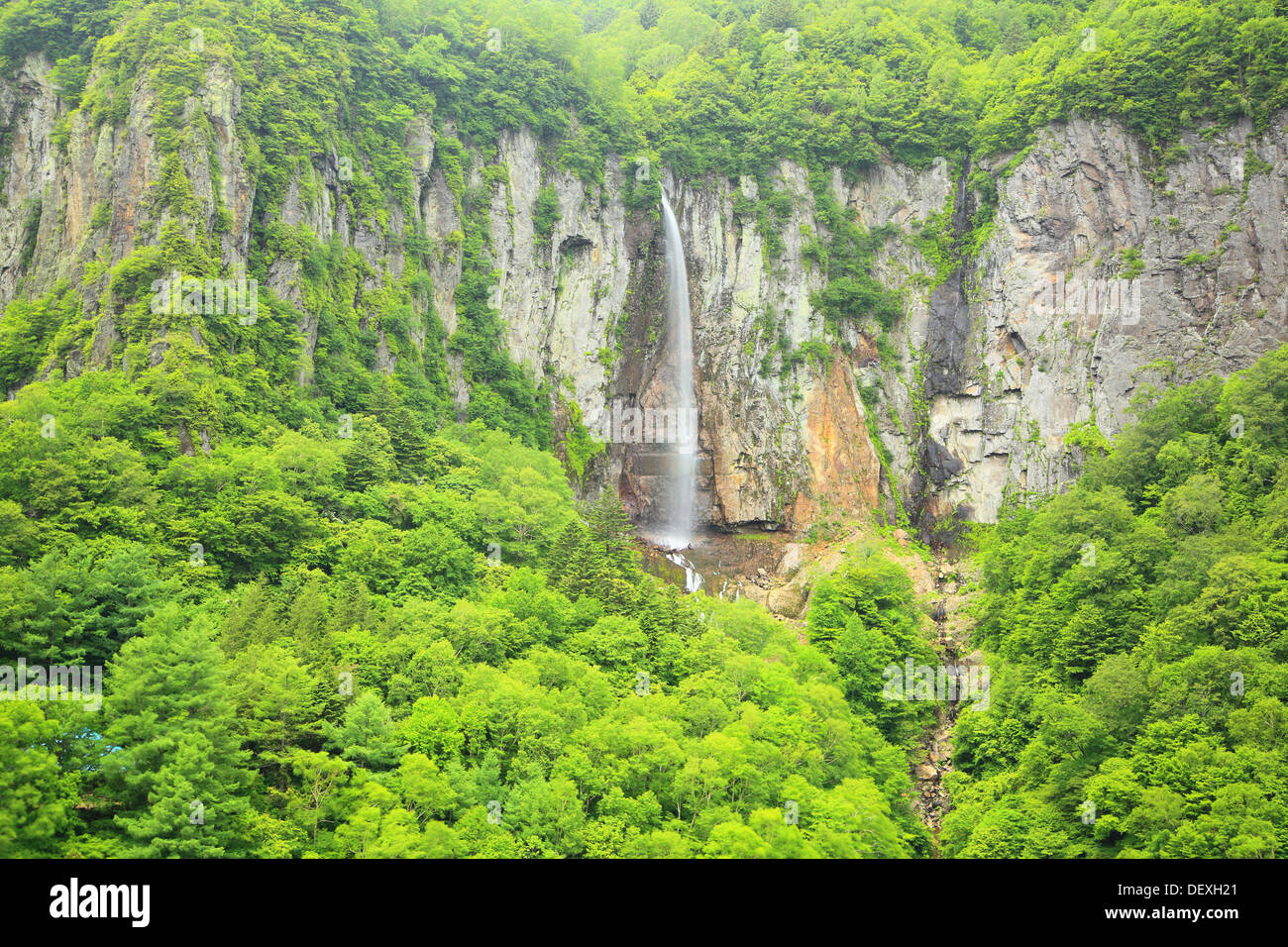 Fresco verde e cascata, Nome è Yonako cade, Nagano, Giappone Foto Stock