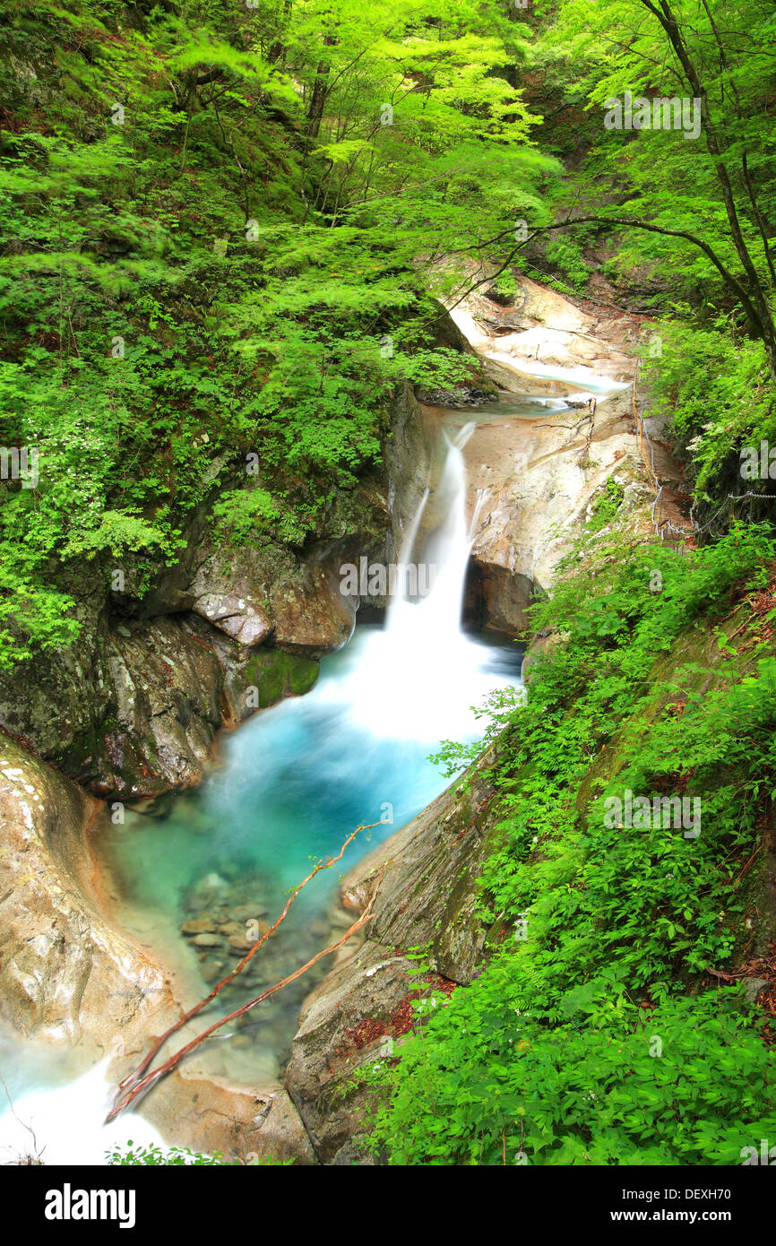 Fresco verde e cascata, Nishizawa Valley, Yamanashi, Giappone Foto Stock