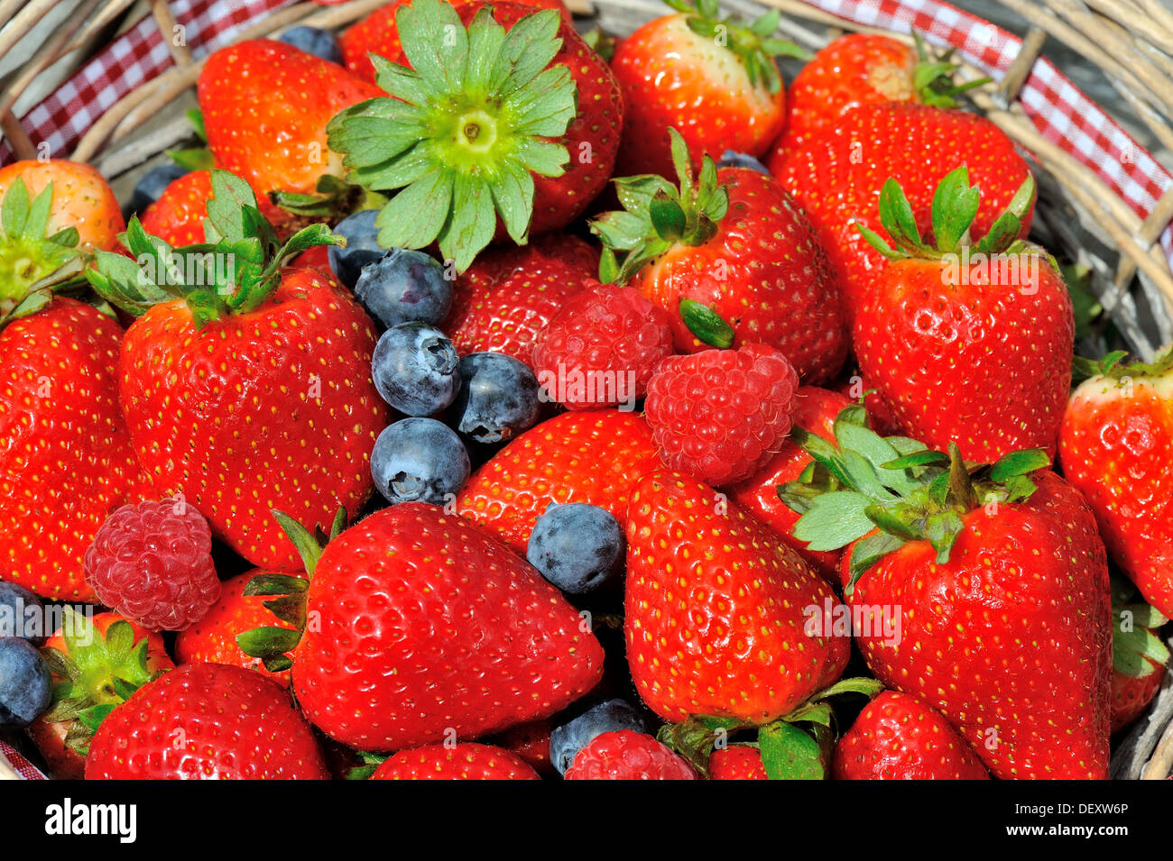 Fragole, mirtilli e lamponi in un cestello Foto Stock