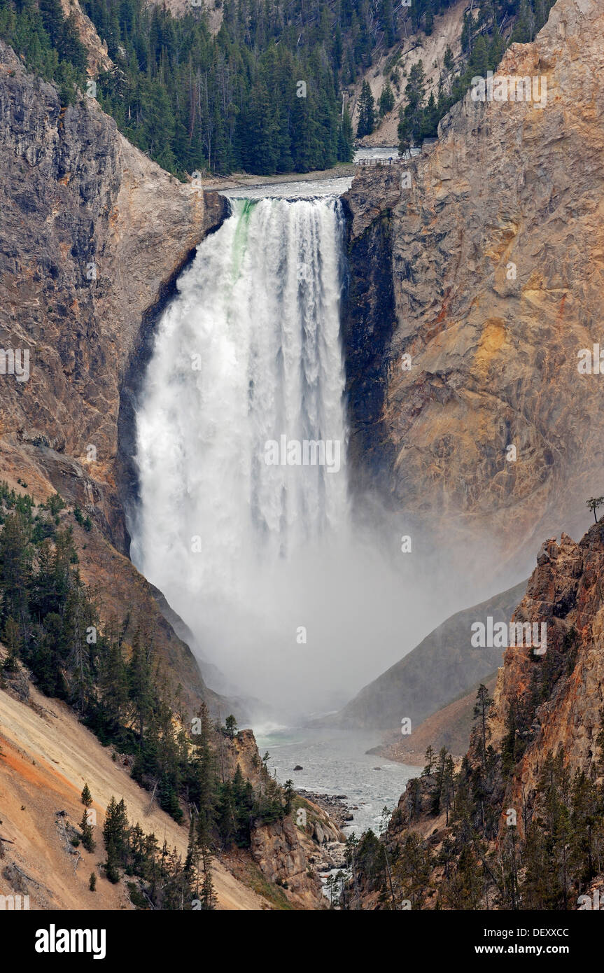 Le cascate Inferiori, cascata di Yellowstone River, il Grand Canyon di Yellowstone, il Parco Nazionale di Yellowstone, Wyoming USA Foto Stock