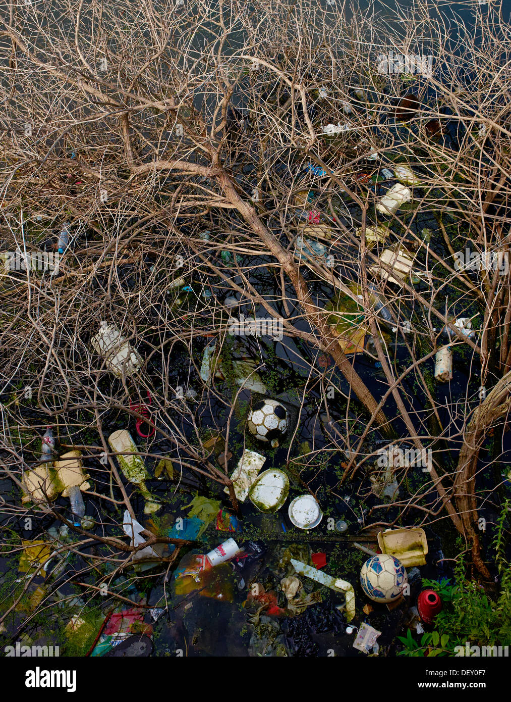 Fiume inquinato con accumulo di rifiuti. Foto Stock