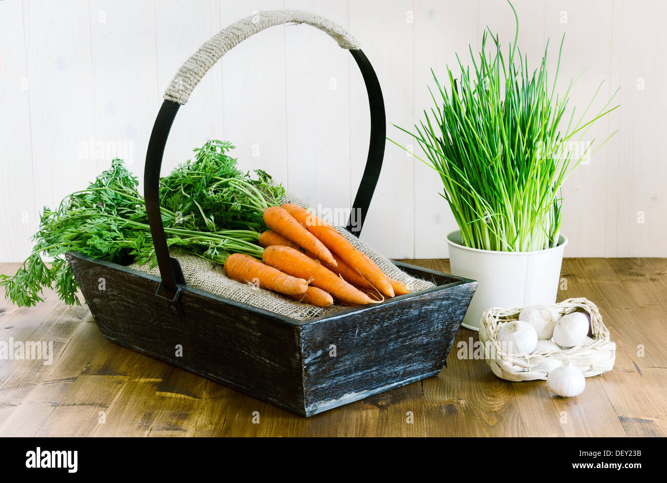 Organici freschi Carote, erba cipollina e aglio. Foto Stock