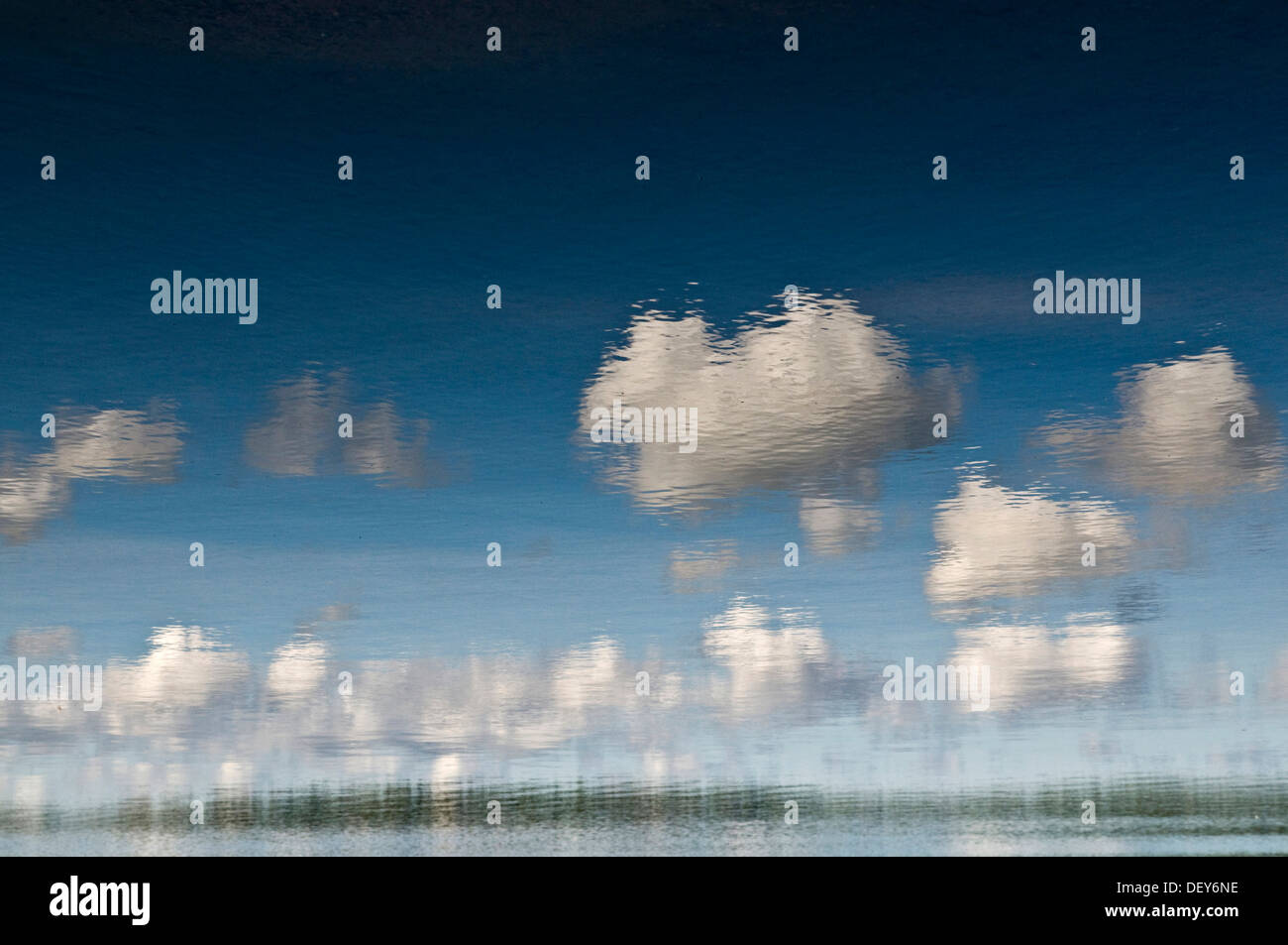 Il Cloud riflessioni di un lago vicino a Gothenburg, Svezia, Scandinavia, Europa Foto Stock