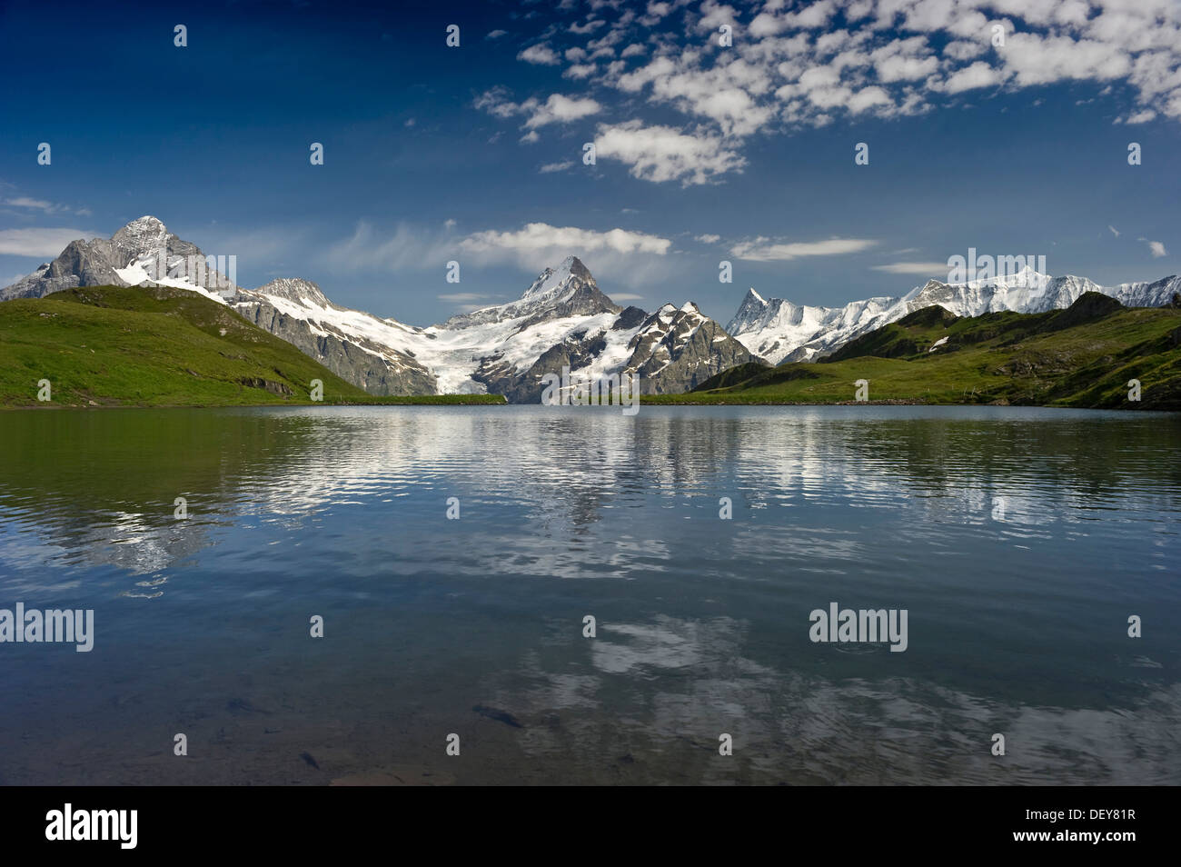 Bachalpsee lago vicino a Grindelwald, montagna Faulhorn e Finsteraarhorn sul retro, Oberland bernese, il Cantone di Berna, Svizzera Foto Stock