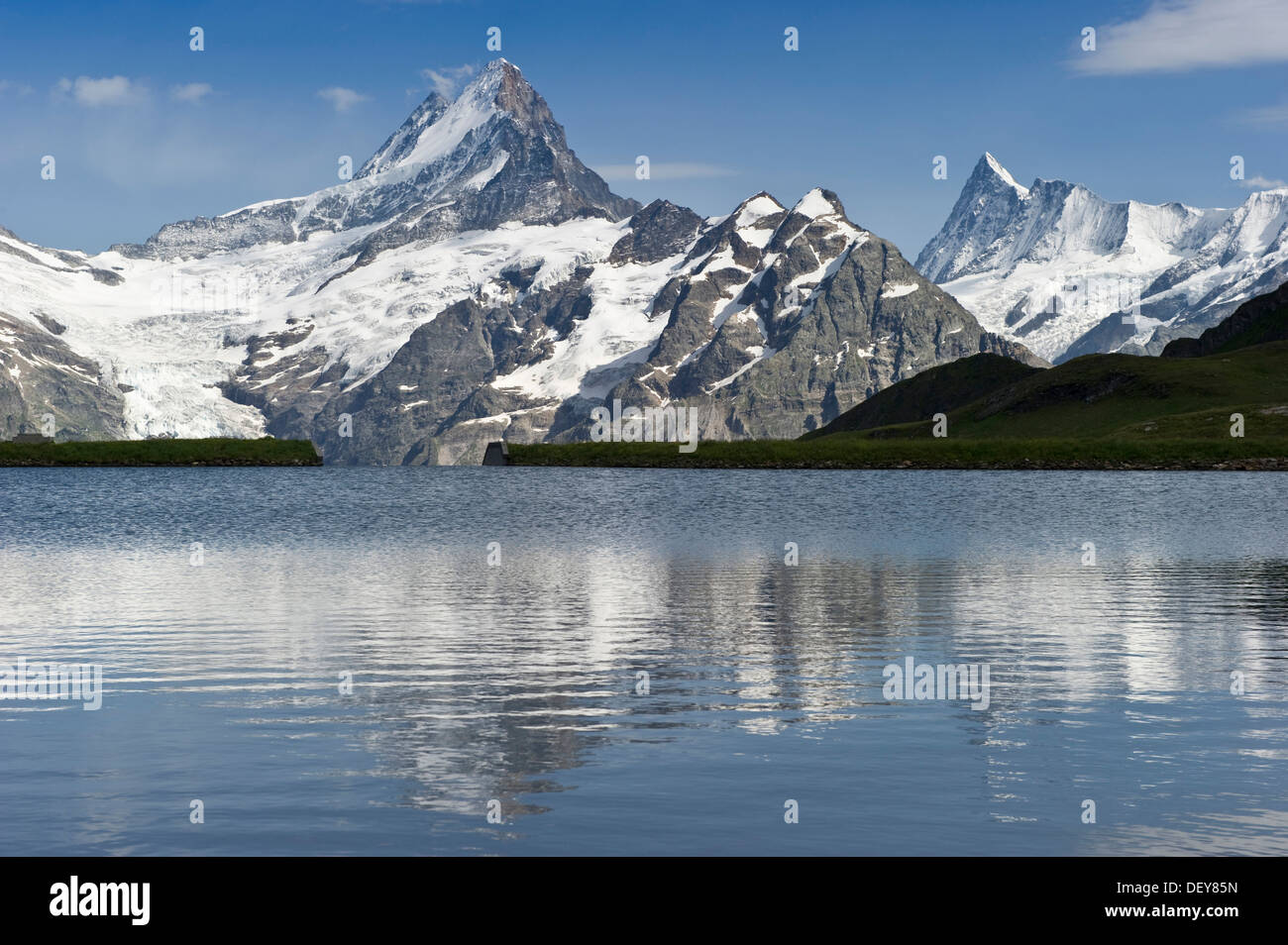 Bachalpsee lago vicino a Grindelwald, montagna Faulhorn e Finsteraarhorn sul retro, Oberland bernese, il Cantone di Berna, Svizzera Foto Stock