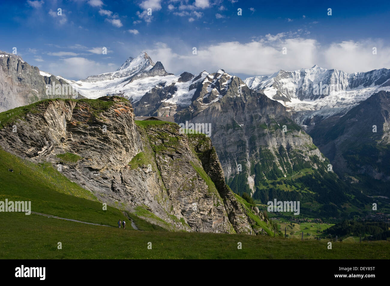 Vertice del primo con vedute di Grindelwald e l'Oberland bernese, il Cantone di Berna, Svizzera, Europa Foto Stock