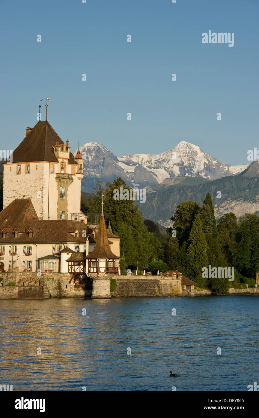 Schloss Oberhofen castello nei pressi di Thun e il Lago di Thun, montagne Eiger, Moench e Jungfrau sul retro, il Cantone di Berna, Svizzera, Europa Foto Stock