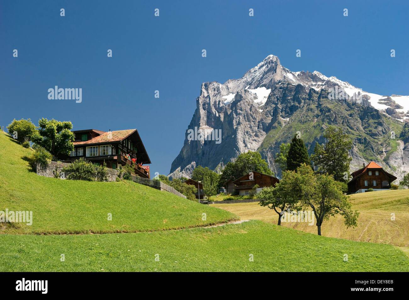 Grindelwald, Mt Wetterhorn sul retro, Oberland bernese, il Cantone di Berna, Svizzera, Europa Foto Stock
