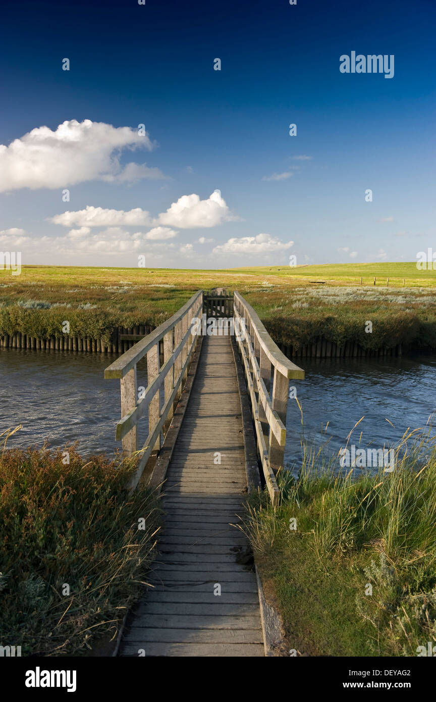 Ponte di legno e le saline, Westerhever, Eiderstedt, Frisia settentrionale, Schleswig-Holstein Foto Stock