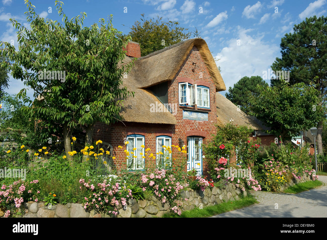 Cottage con tetto in paglia e Garden cottage, Nebel, Amrum, Nord Isole Frisone, Schleswig-Holstein Foto Stock