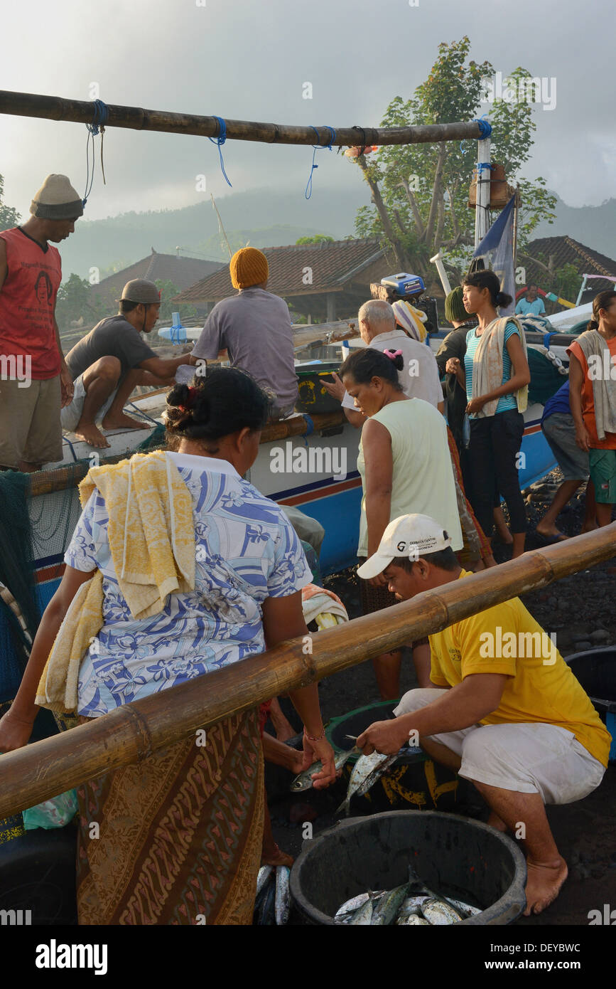Indonesia, isola di Bali, il villaggio di pescatori di Amed, la vendita del pesce dopo il ritorno dalla pesca Foto Stock