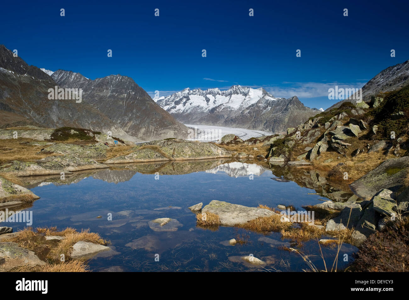 Ghiacciaio di Aletsch e Oberland Bernese, Sito Patrimonio Mondiale dell'UNESCO, Bettmeralp, Vallese, Svizzera, Europa Foto Stock