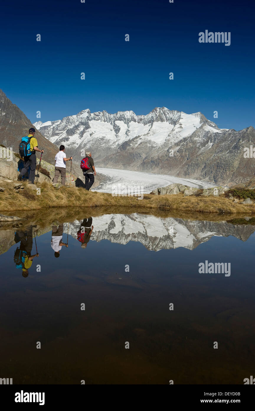 Gli escursionisti, ghiacciaio di Aletsch e Oberland Bernese, Sito Patrimonio Mondiale dell'UNESCO, Bettmeralp, Vallese, Svizzera, Europa Foto Stock